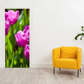 Fototapet pentru ușă - Lalele în câmp (95x205cm)