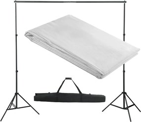 vidaXL Sistem de suport fundal, 300 x 300 cm, alb