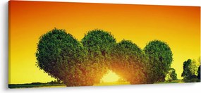 Tablou - Inima în coroanele copacilor (120x50 cm)