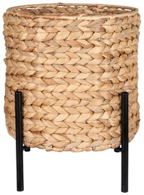 Ghiveci din zambilă de apă ø 26,5 cm Antas – House Nordic