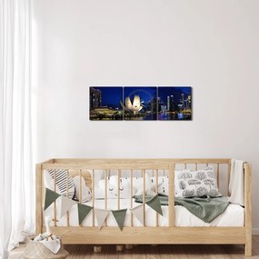 Tablou Singapore nocturn (cu ceas) (90x30 cm)