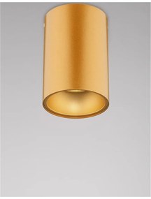 Spot aplicat tavan / plafon design modern minimalist NIDO auriu