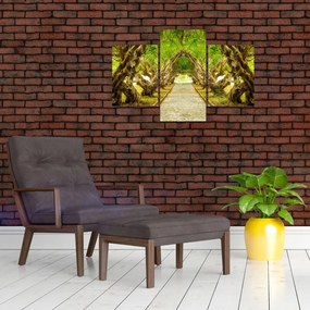 Tablou - Tunel viu din plumeria (90x60 cm)