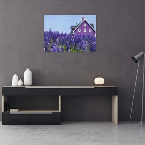 Tablou pe sticlă cu câmp de lavanda (70x50 cm)