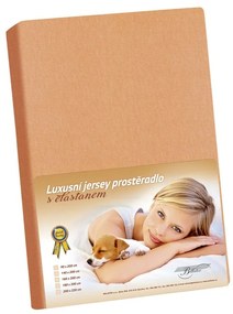 Cearceaf jersey cu elastan, somon, 120 x 200 cm