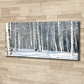Print pe canvas Pădure în timpul iernii
