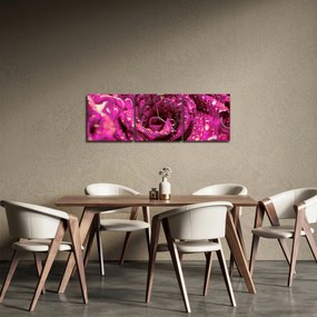 Tabloul cu floarea trandafirului roz (cu ceas) (90x30 cm)