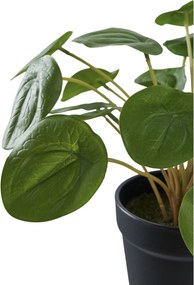 Plantă artificială Panselia (verde). Promo -7%. 1147283