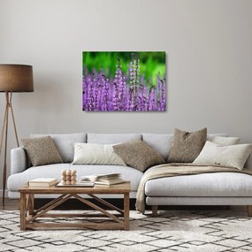 Tablou pe sticlă cu flori de luncă violete (70x50 cm)