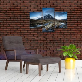 Tablou cu munții și tigrul (90x60 cm)