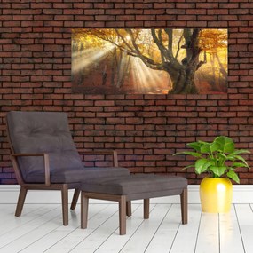Tablou - Lumina de toamnă (120x50 cm)