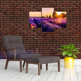 Tablou cu câmp de lavandă (90x60 cm)