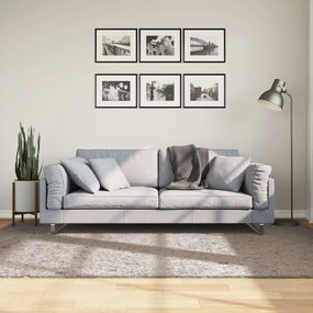vidaXL Covor pufos &quot;PAMPLONA&quot; cu fire înalte, bej modern, 160x230 cm
