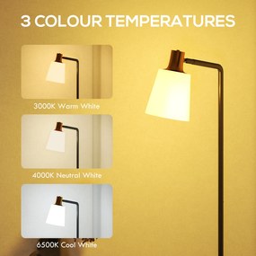 HOMCOM Lampă de podea LED cu cap rotativ la 350°, Reglare a temperaturii culorii 3000K/4000K/6500K, Negru | Aosom Romania