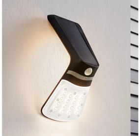 Corp de iluminat solar cu senzor Eglo 98758 LAMOZZO LED/2W/3,7V 1200 mAh IP44