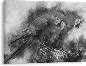 Tablou - Acuarelă papagali (70x50 cm)