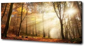 Pictură pe pânză Ceață în pădure