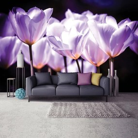 Fototapet - Flori - tonul violet (152,5x104 cm), în 8 de alte dimensiuni noi