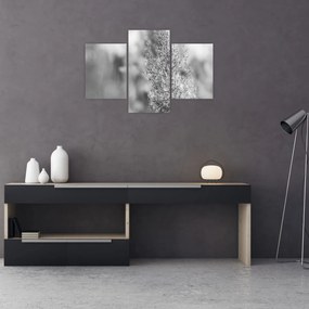 Tablou - Iarbă de pampas Boho (90x60 cm)