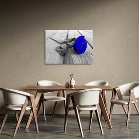 Tablou pe sticlă - Trandafir albastru (70x50 cm)