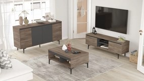 Set mobilier living AR13-CA