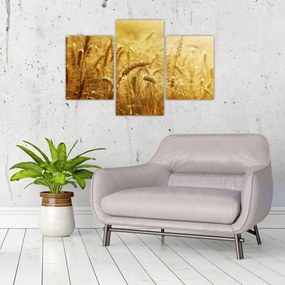 Tablou - Spice de cereale (90x60 cm)