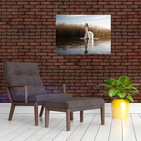 Tablou cu lebăda (70x50 cm)