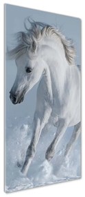 Tablou acrilic Cal alb în galop