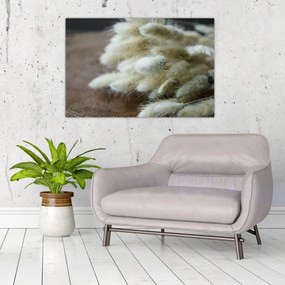 Tablou - Coadă de iepure (90x60 cm)