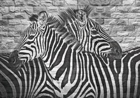 Fototapet - Zebre pe peretele din cărămizi (254x184 cm)