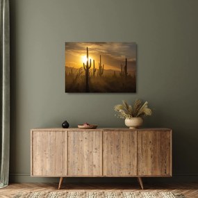 Tablou pe sticlă - Cactuși Saguaro (70x50 cm)