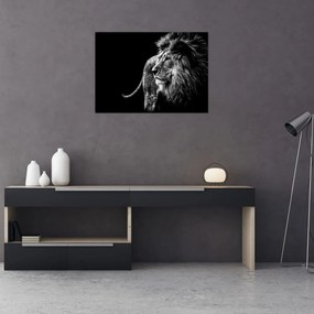 Tablou - Leu (70x50 cm)