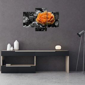 Tablou cu floare (90x60 cm)