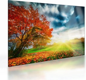 Tablou pe sticlă peisaj cu scufundat în razele solare (70x50 cm)