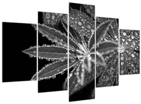 Tablou - Picături (150x105 cm)