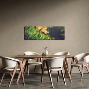 Tablou - Ciupercă și muschi (cu ceas) (90x30 cm)