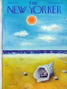 Ilustrație The NY Magazine Cover 299