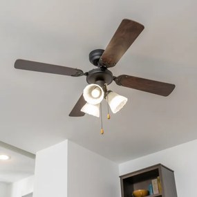 Ventilator de tavan ZEVENTI ZURRIOLA 3xE27/60W/230V