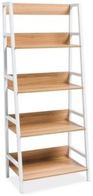 Raft Olsen, stejar