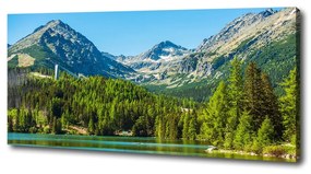 Tablou pe pânză Lacul în munți