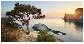 Pictura pe sticlă acrilică Arborele de mare