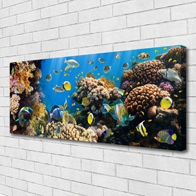 Tablou pe panza canvas Coral Reef Natura Multi