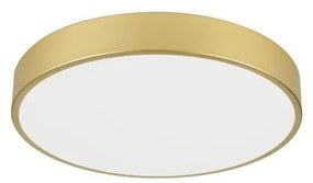 Immax NEO 07292L - Plafonieră LED+CCT compatibilă cu dimmer SEMPLICI 36W/230V, Ø 40 cm + telecomandă