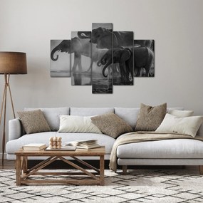 Tablou cu elefanți - albnegru (150x105 cm)