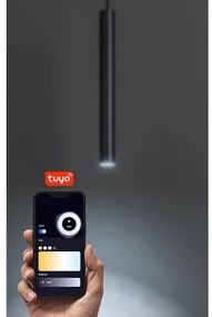 Lustră LED dimabilă pentru sistem de șină monofazic Rabalux 70132 LiTrack LED/5W/24V