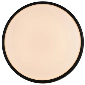 Aplica de perete / tavan exterior IP54 Oliver Black