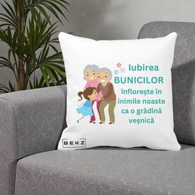 Cadou pentru Bunici - Perna Personalizata Bunicii Iubirea Infloreste cu Nepoata Teal, 40x40 cm, Alba Mata, Husa Detasabila, Perna Inclusa, BEKZ®