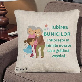 Cadou pentru Bunici - Perna Personalizata Bunicii Iubirea Infloreste cu Nepoata Teal, 40x40 cm, Bej Canapea, Husa Detasabila, Perna Inclusa, BEKZ®