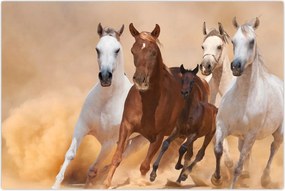 Tablou - Herghelie de cai (90x60 cm)