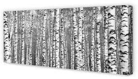 Tablouri canvas copac alb-negru